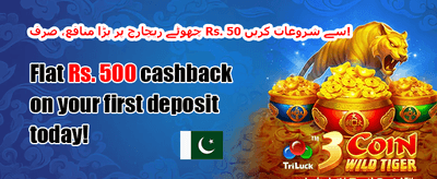 ڈیلی کیش بیک